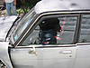 Picture_0063.jpg