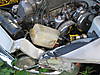 Picture_0271.jpg