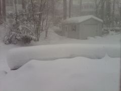 More Snowfall 2-10-2010