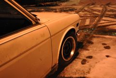 blanco_low_in_the_snow_01142012_7_