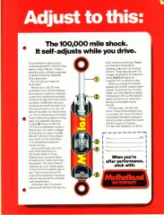 Mulholland Shocks Ad