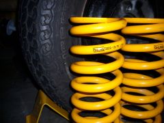 rear springs