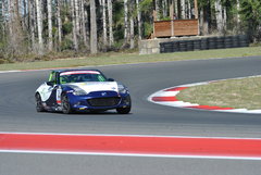 04212024 Swamp Thing (86).JPG