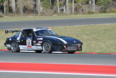 04212024 Swamp Thing (90).JPG